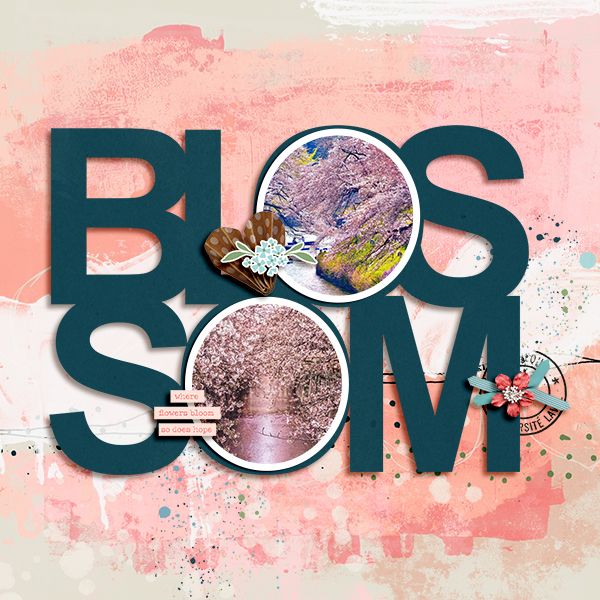 Blossom