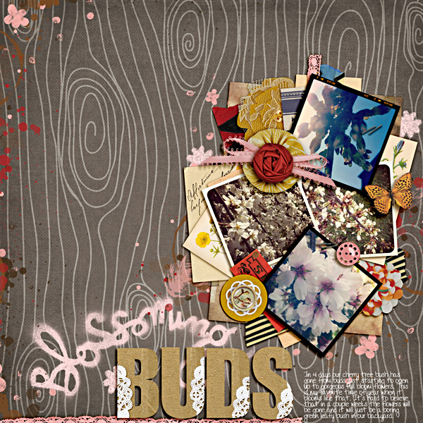 Blossoming Buds