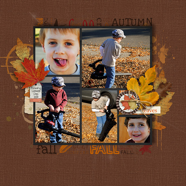 Blowing Leaves