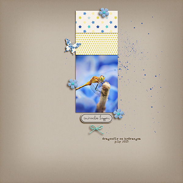 Blue Dragonfly