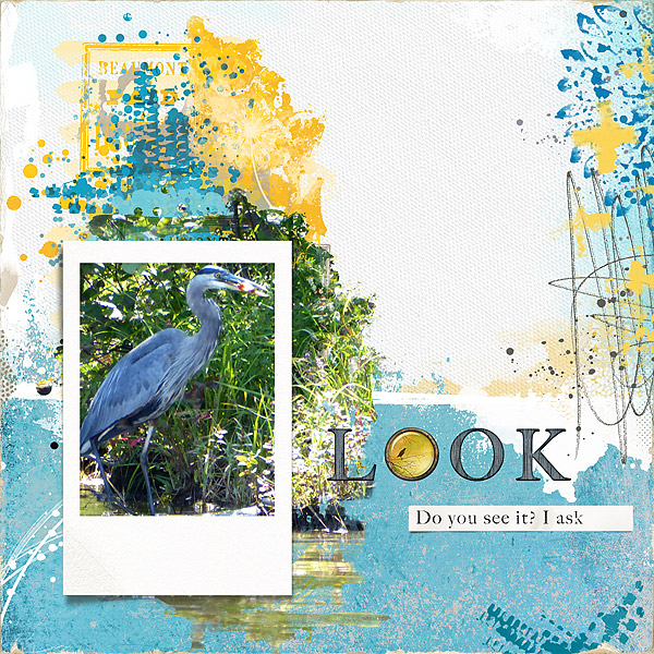 Blue Heron