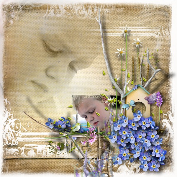 Blue meadow
