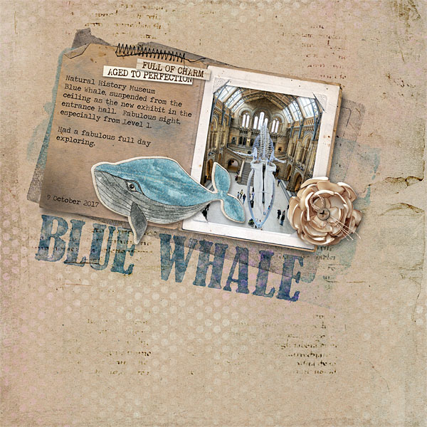 Blue Whale