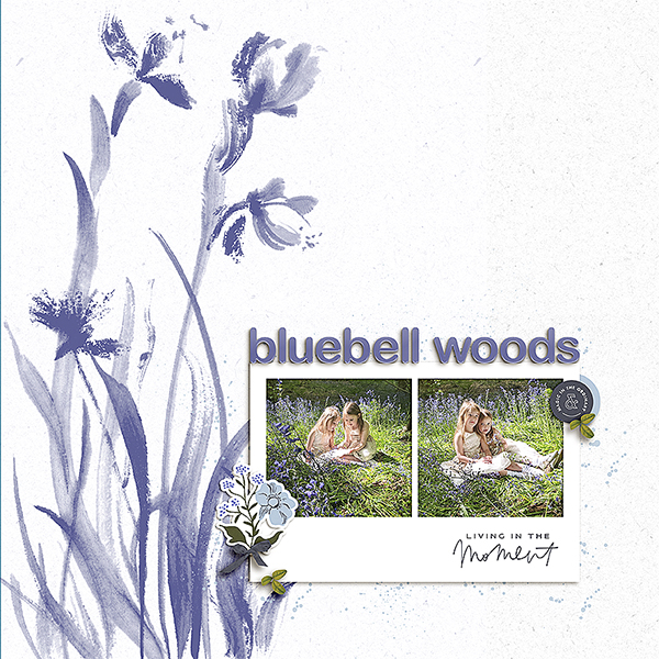 Bluebell Woods