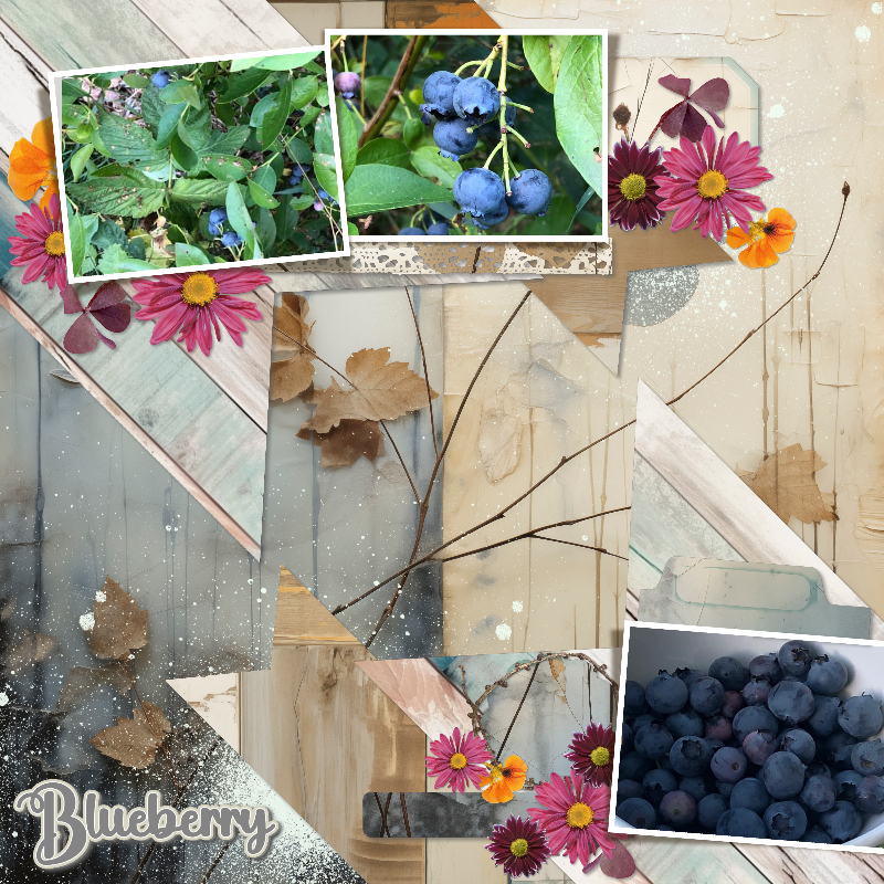 Blueberries