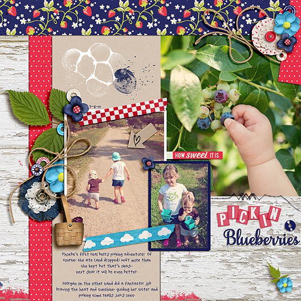 Blueberry Picking 2014