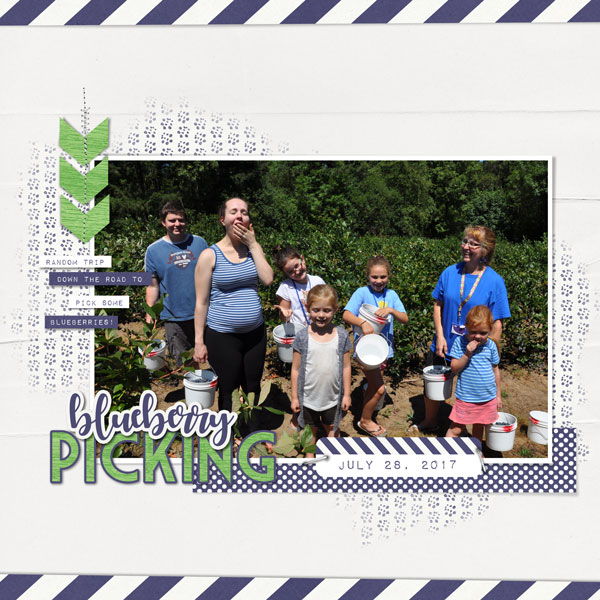Blueberry Picking