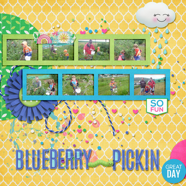 Blueberry Picking