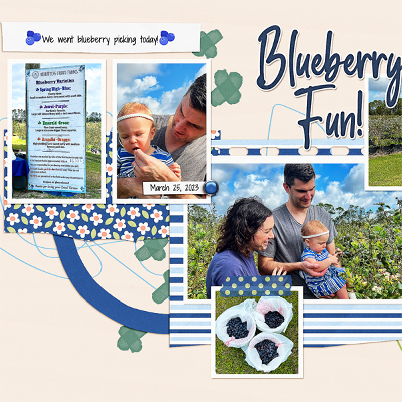 Blueberry Picking_left