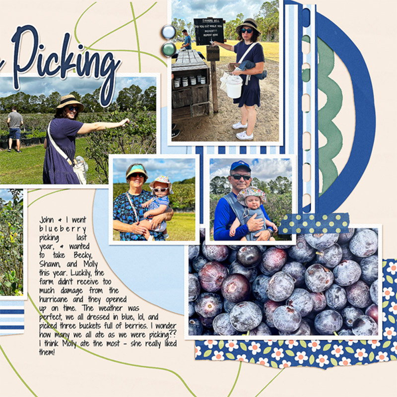Blueberry Picking_right