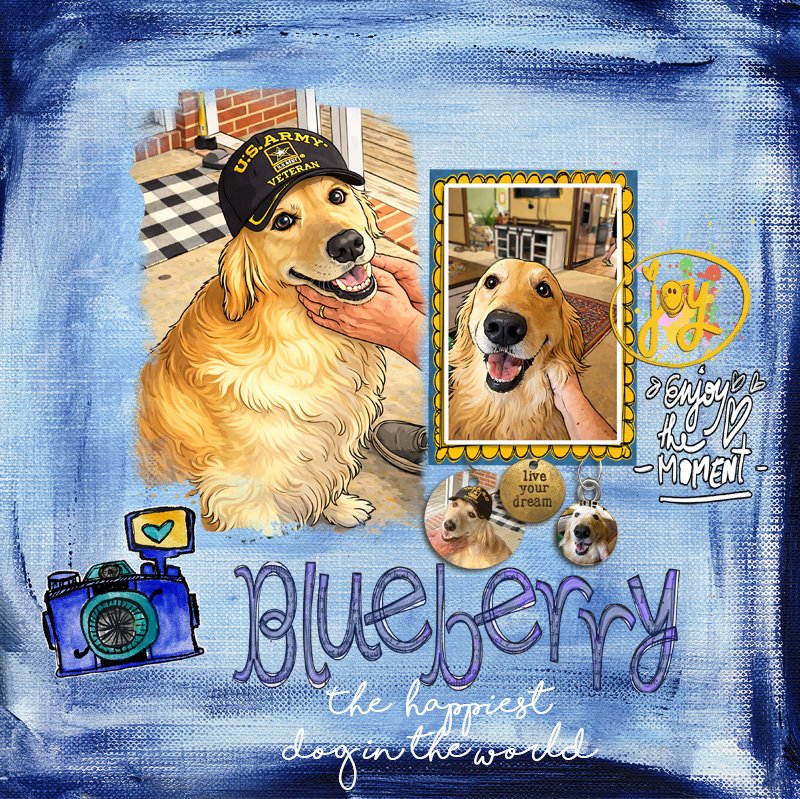 Blueberry   Scaplift