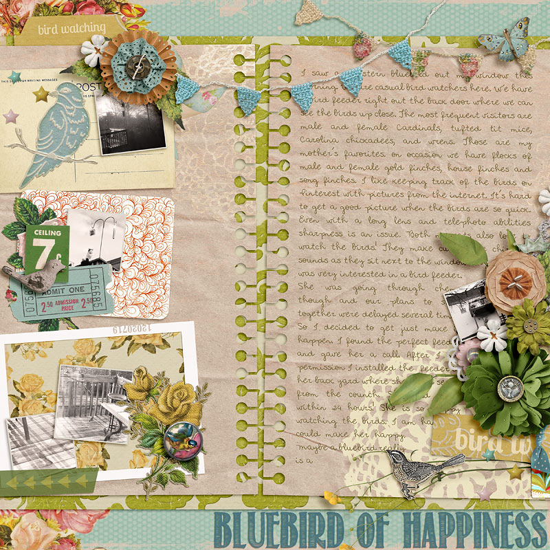Bluebird-of-Happiness-WEB