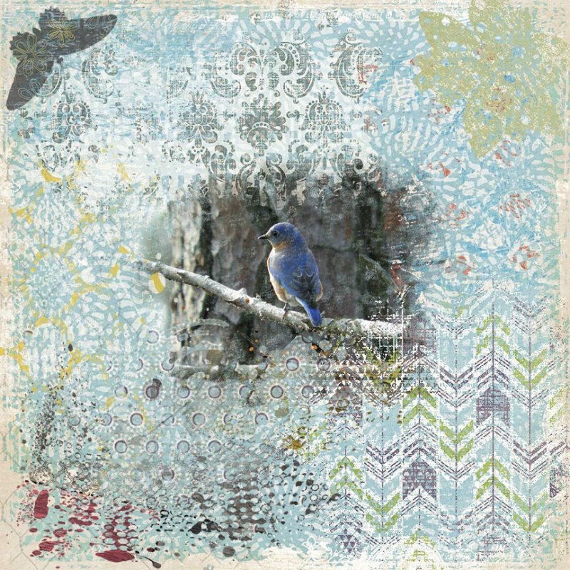 Bluebird-of-Happiness