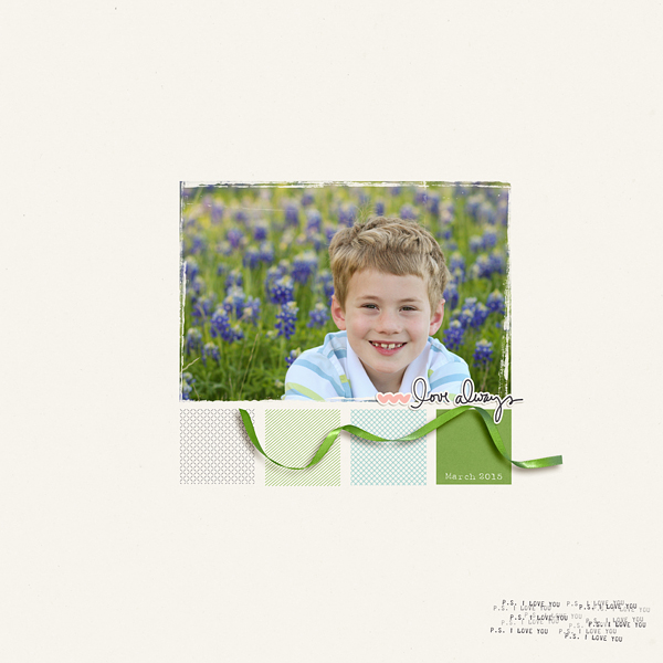 Bluebonnet Love