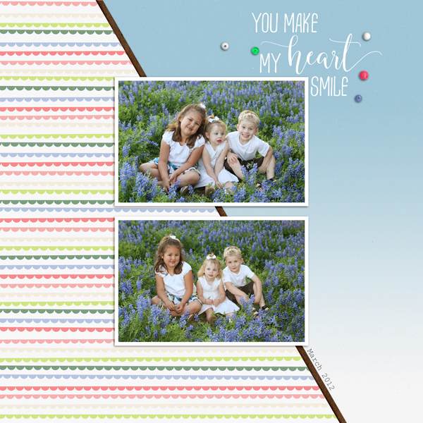 Bluebonnets2012