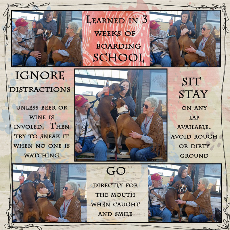 boarding-school-lessons-challenge-fill-it-up