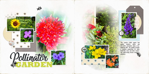 Bok Tower Gardens Pollinator Garden