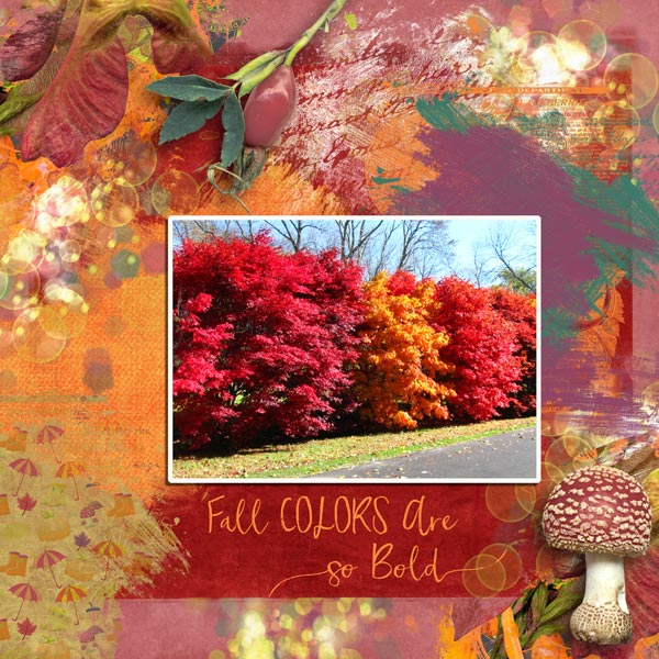 Bold Colors