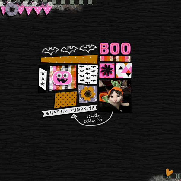 boo