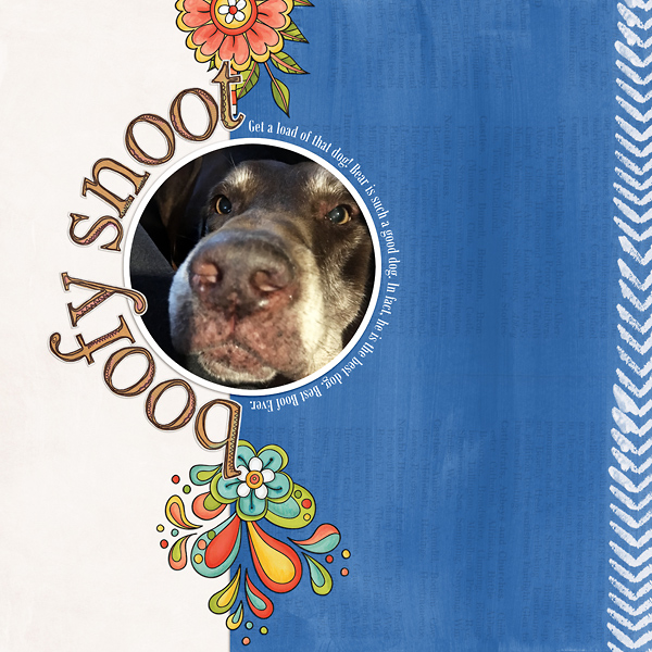 Boofy Snoot