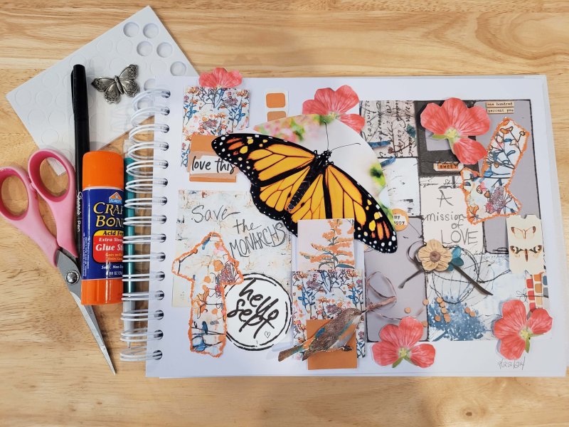 Book Page 1 Save The Monarchs
