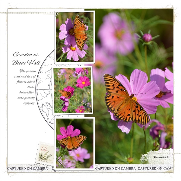 Boone Hall Garden