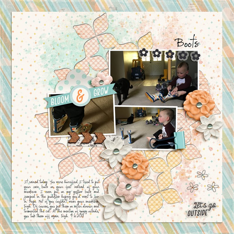 BootsApril2018TCfdd_FSN33small