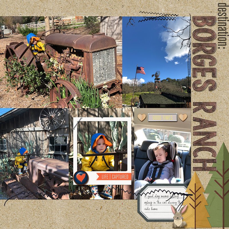 BorgesRanch022019PCright