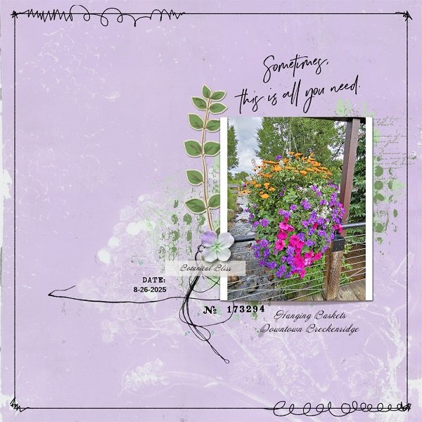 Botanical Bliss.jpg