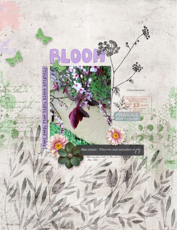 Botanical-Bliss