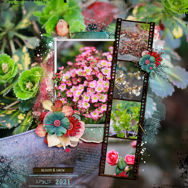 Botanical Blooms