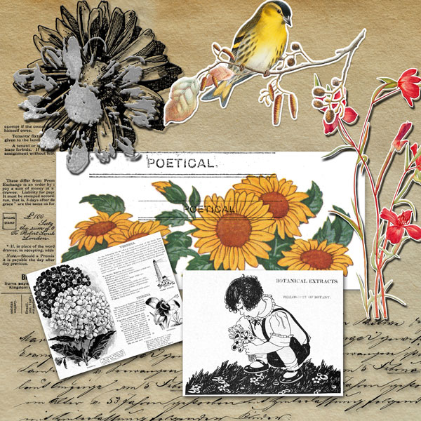 Botanical Bundle