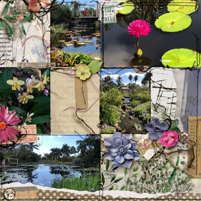 Botanical-Garden-Pg-2
