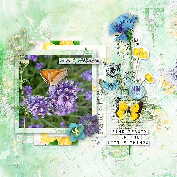 Botanical
