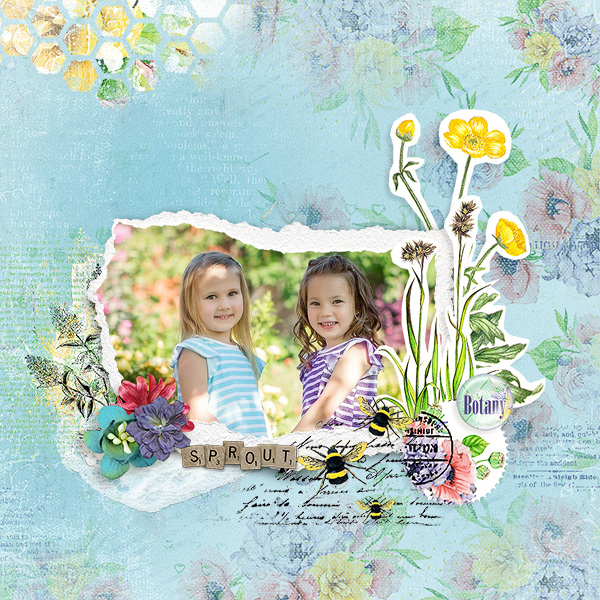 Botanical