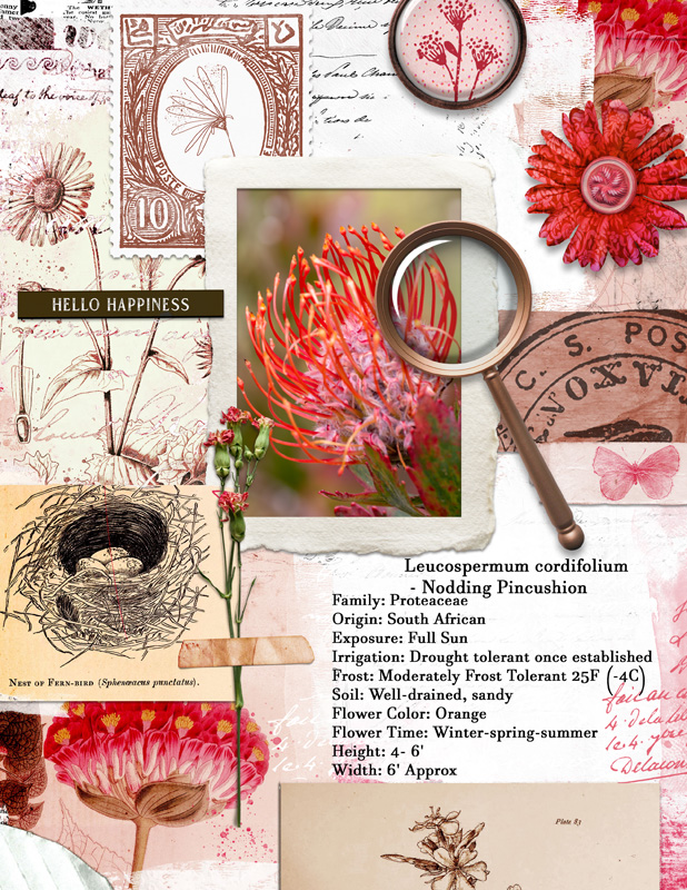 Botanical
