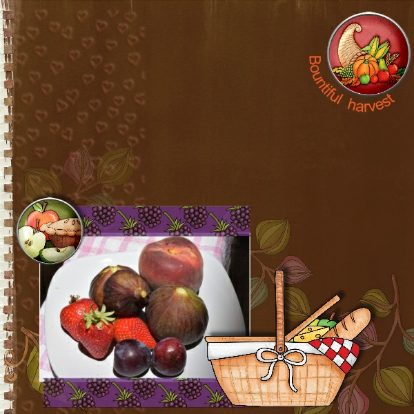 Bountiful Harvest