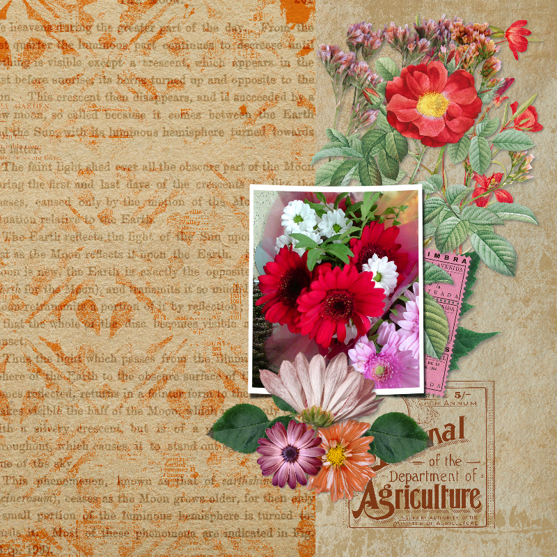 bouquet of flowers