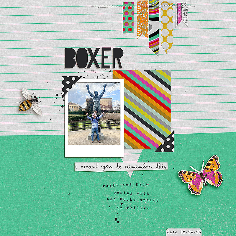 Boxer
