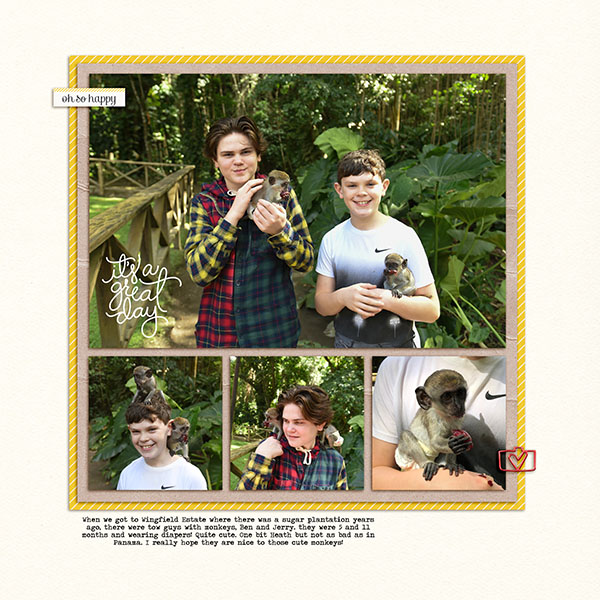Boys And Monkeys