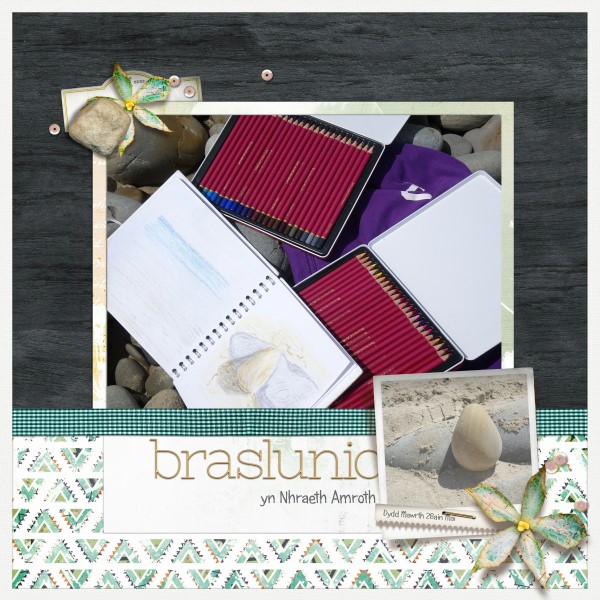 Braslunio
