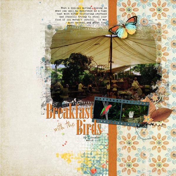 Breakfast with the Birds