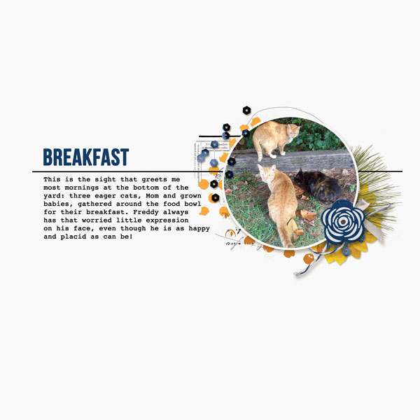 Breakfast