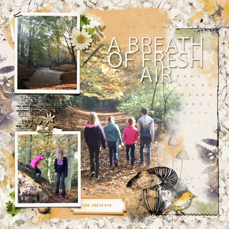 Breath of Fresh Air