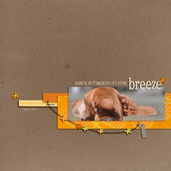 breeze