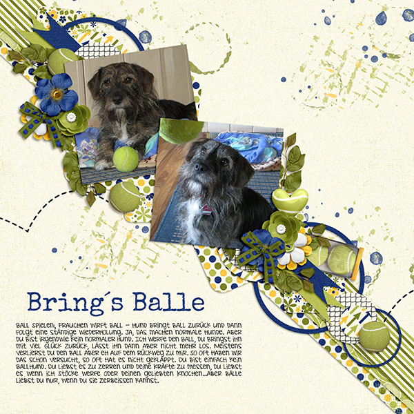 Bring´s Balle