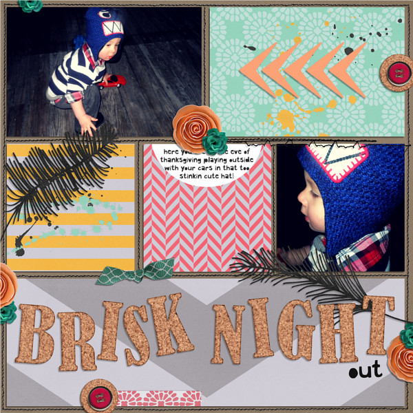 Brisk Night Out