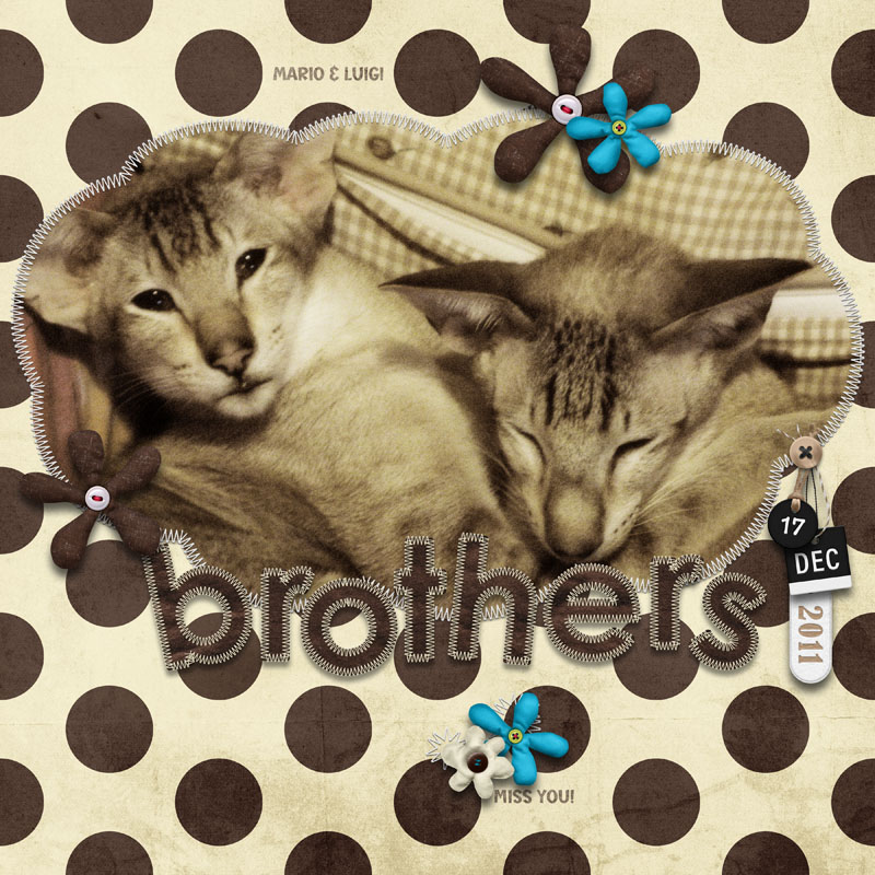 Brothers