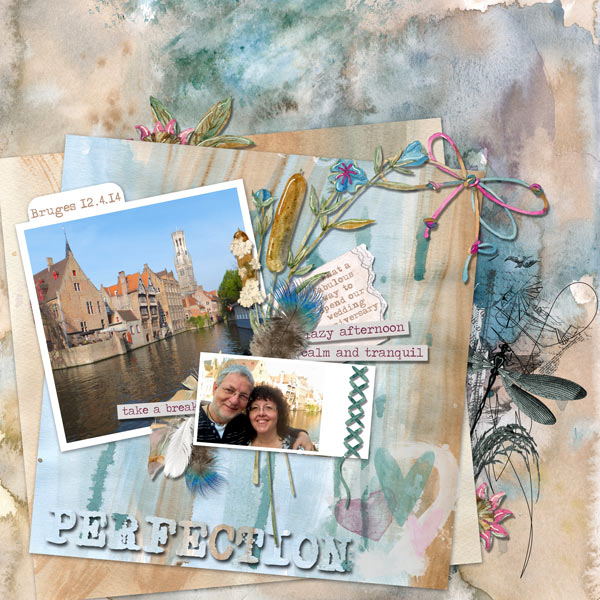 Bruges-swan-lake_zpse5d2714c