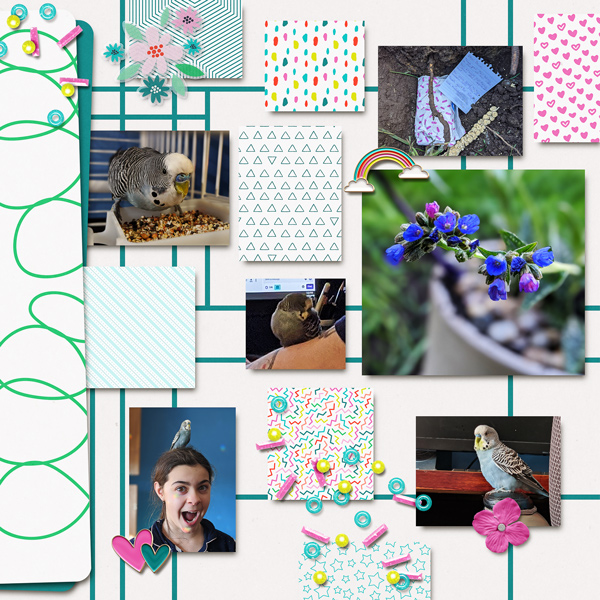 Bruni (Right Page)